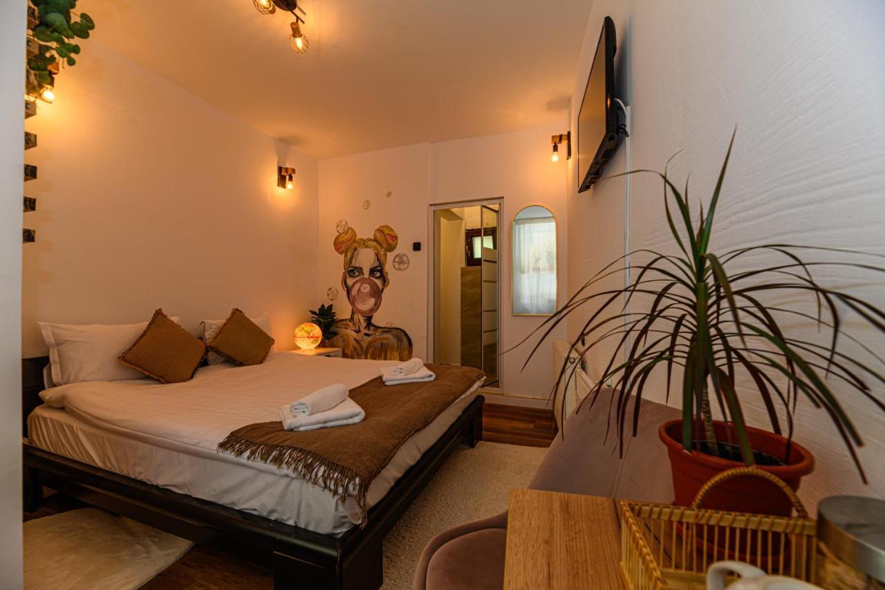Backpacker'S Room Брашов Экстерьер фото